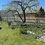 Lovely 2-bedroom With Free Parking *